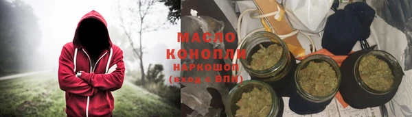 гашик Алексин