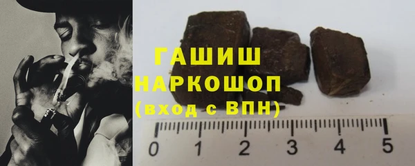 гашик Алексин