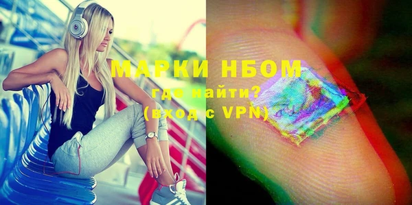 гашик Алексин