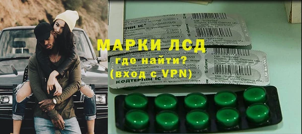 гашик Алексин
