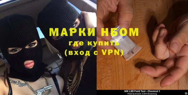 гашик Алексин